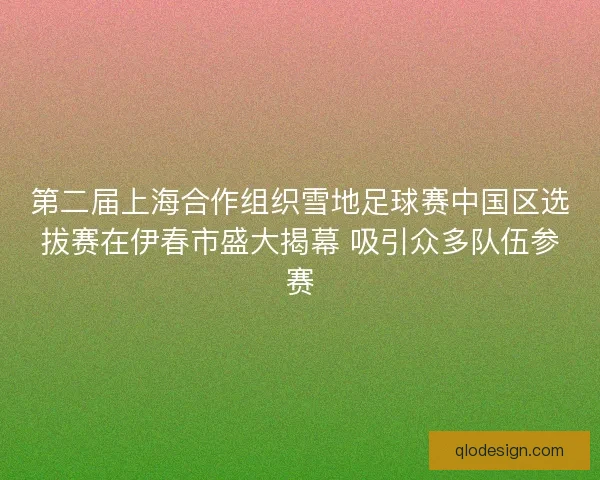 第二届上海合作组织雪地足球赛中国区选拔赛在伊春市盛大揭幕 吸引众多队伍参赛